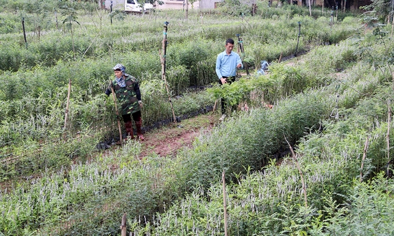 Khởi nghiệp từ nền tảng số
